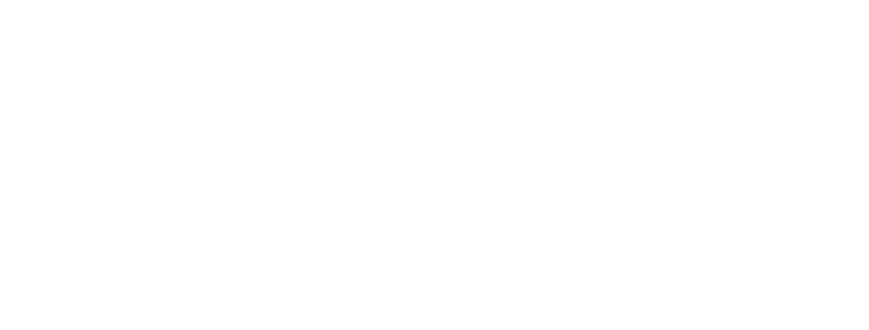 ZEIT LEO Logo weiß